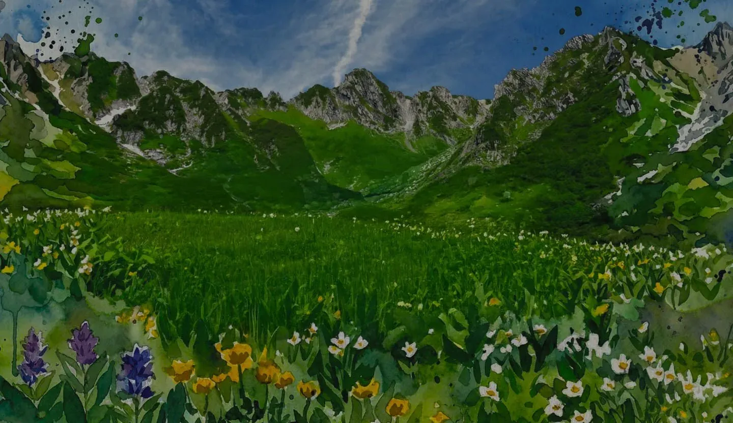 北アルプスの高原風景を思わせる山の景色